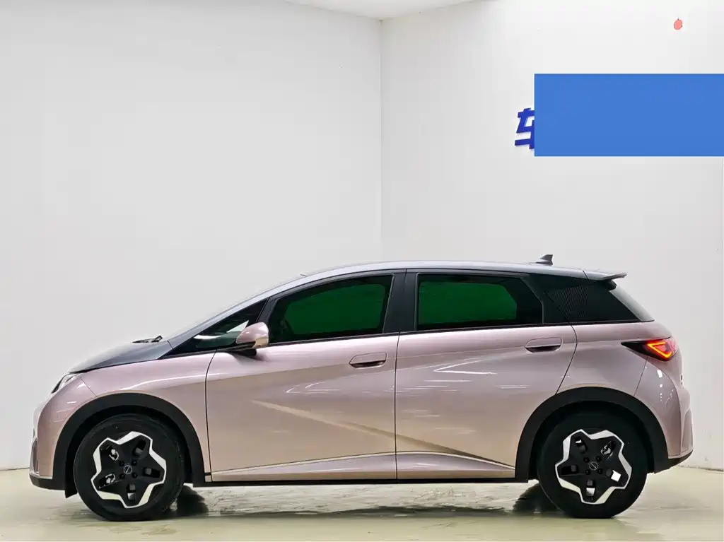 BYD Dolphin 2022