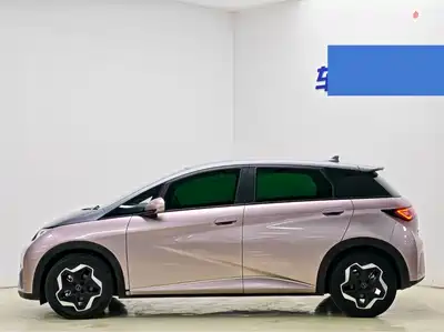 BYD Dolphin 2022