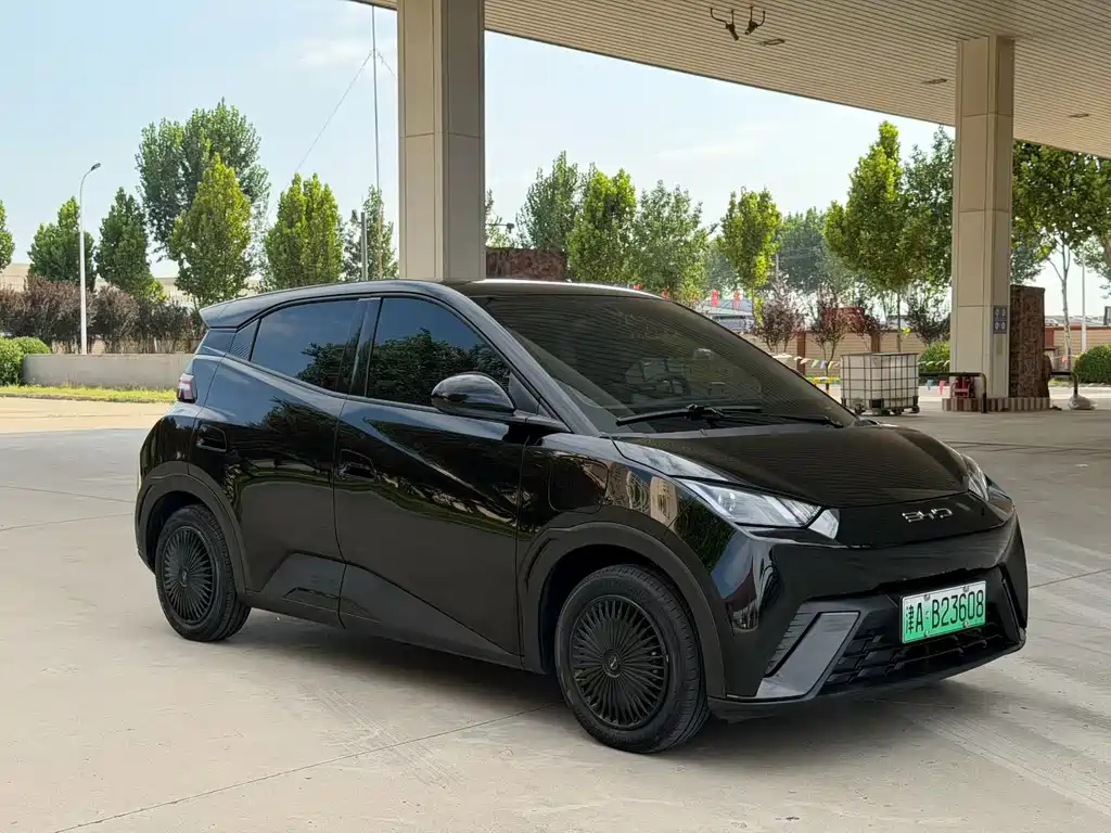 BYD Seagull 2024