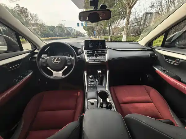 Lexus NX 2020