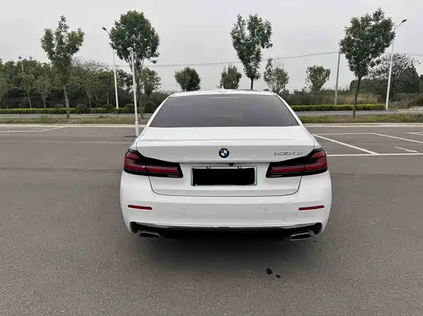 BMW 5 Series New Energy 2021