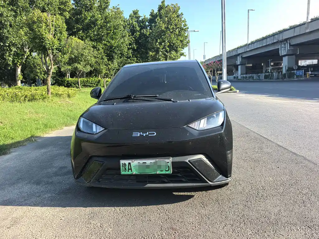 BYD Seagull 2024