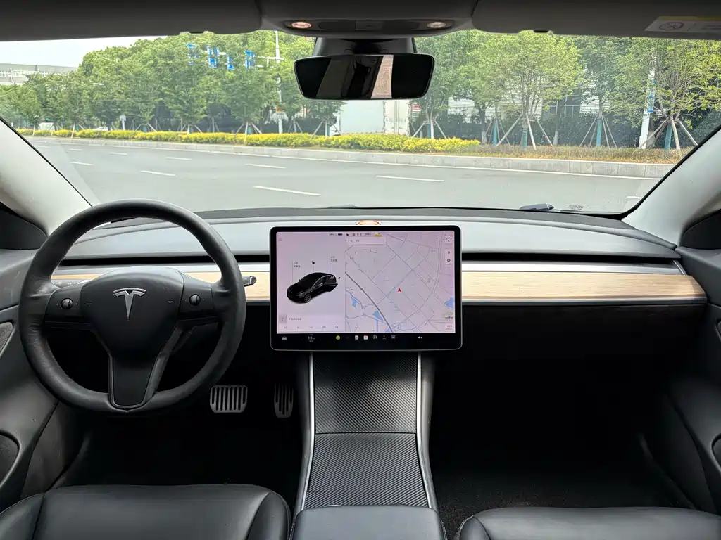Tesla Model 3 2019