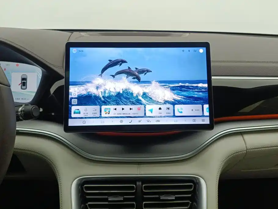 BYD Song PLUS New Energy 2025 — фото 13