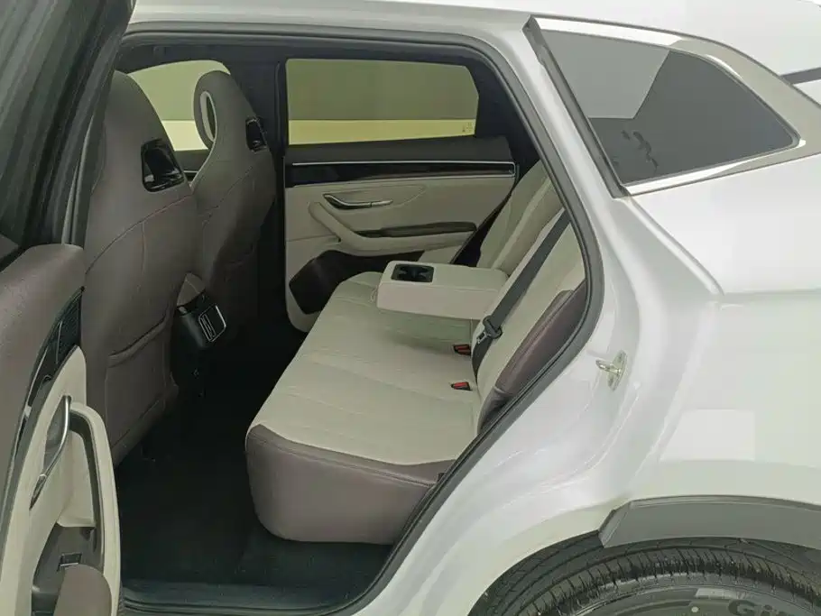 BYD Song PLUS New Energy 2025 — фото 11