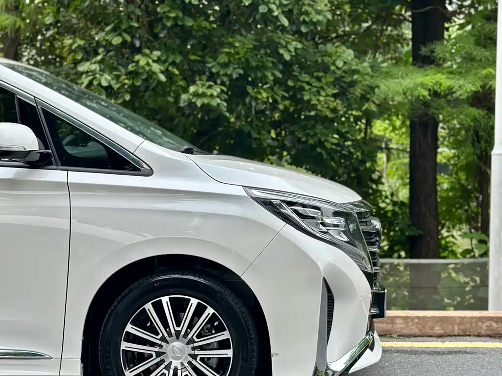 GAC Motor Trumpchi M8 2022 — фото 12