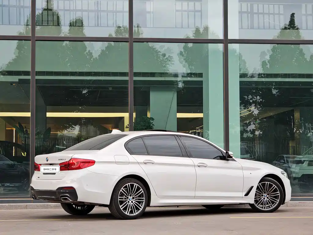 BMW 5 Series 2017 — фото 4