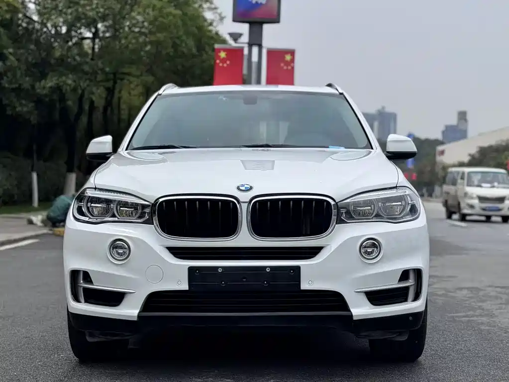BMW X5 2017 — фото 2