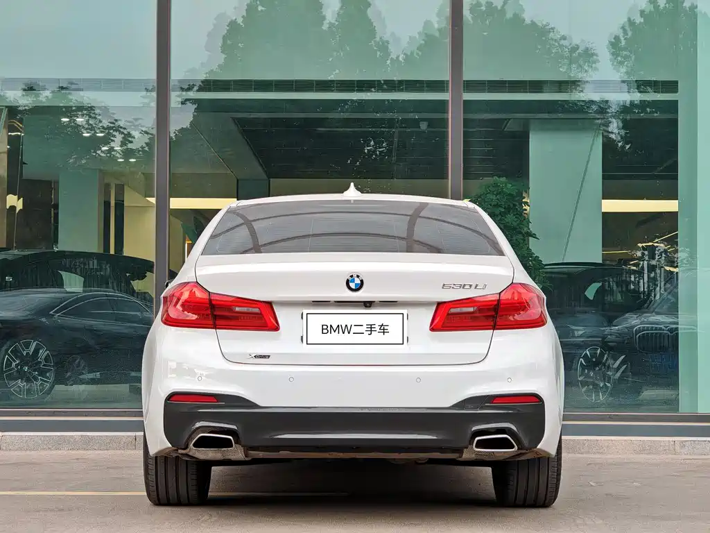 BMW 5 Series 2017 — фото 5