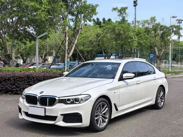 BMW 5 Series 2019