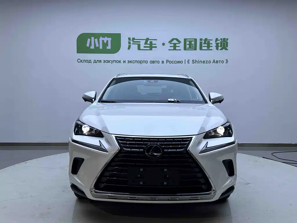 Lexus NX 2021 — фото 13