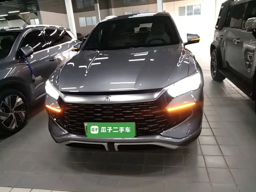 BYD Pro New Energy 2025 — фото 3
