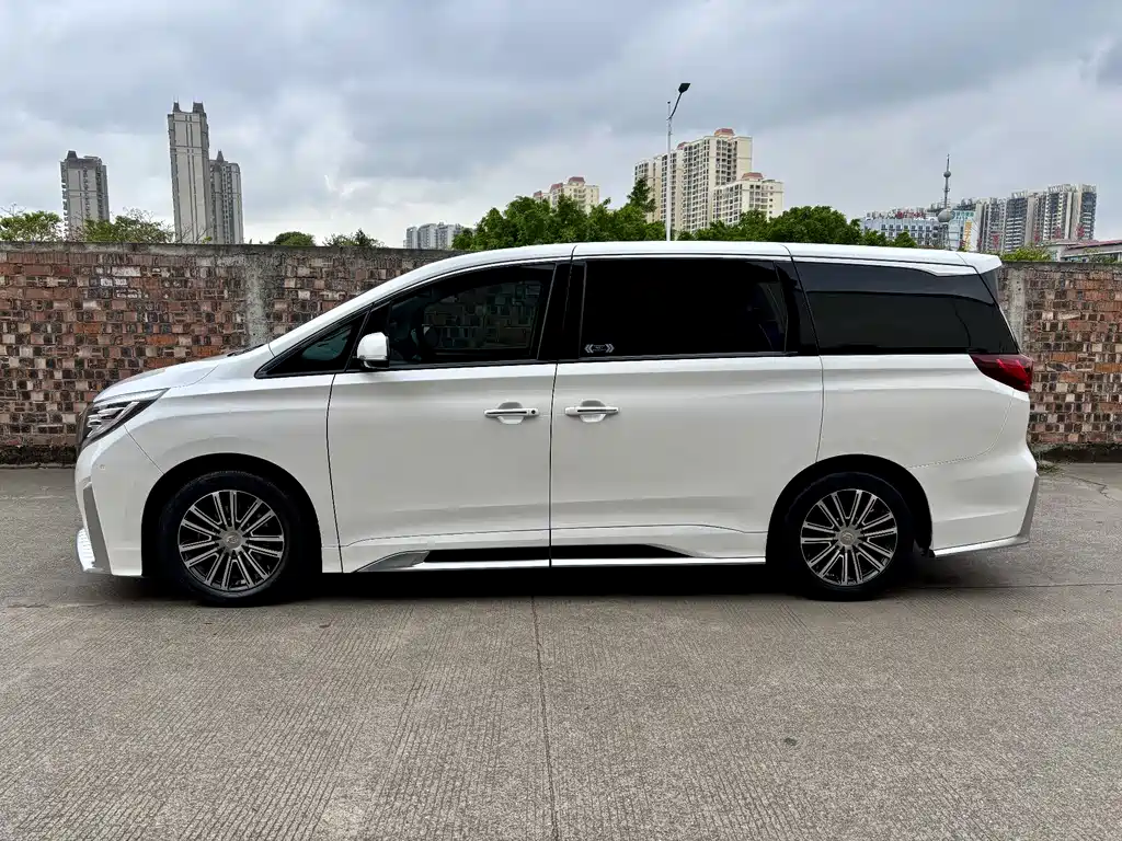 GAC Motor Trumpchi M8 2020 — фото 7