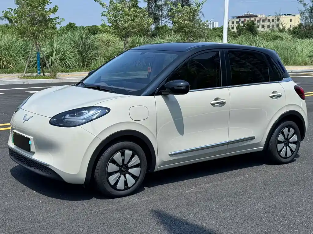 Wuling Bingo 2024