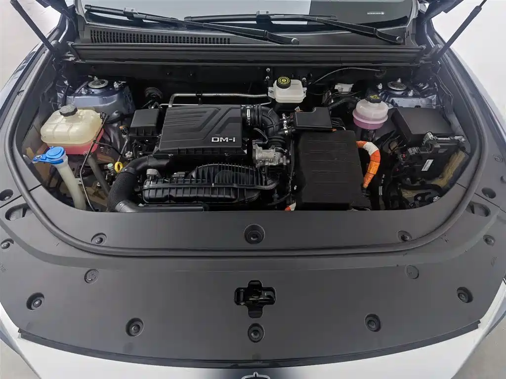 BYD Pro New Energy 2023 — фото 6