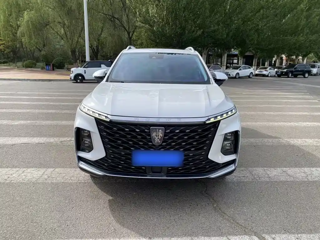 Roewe RX5 MAX 2023 — фото 8