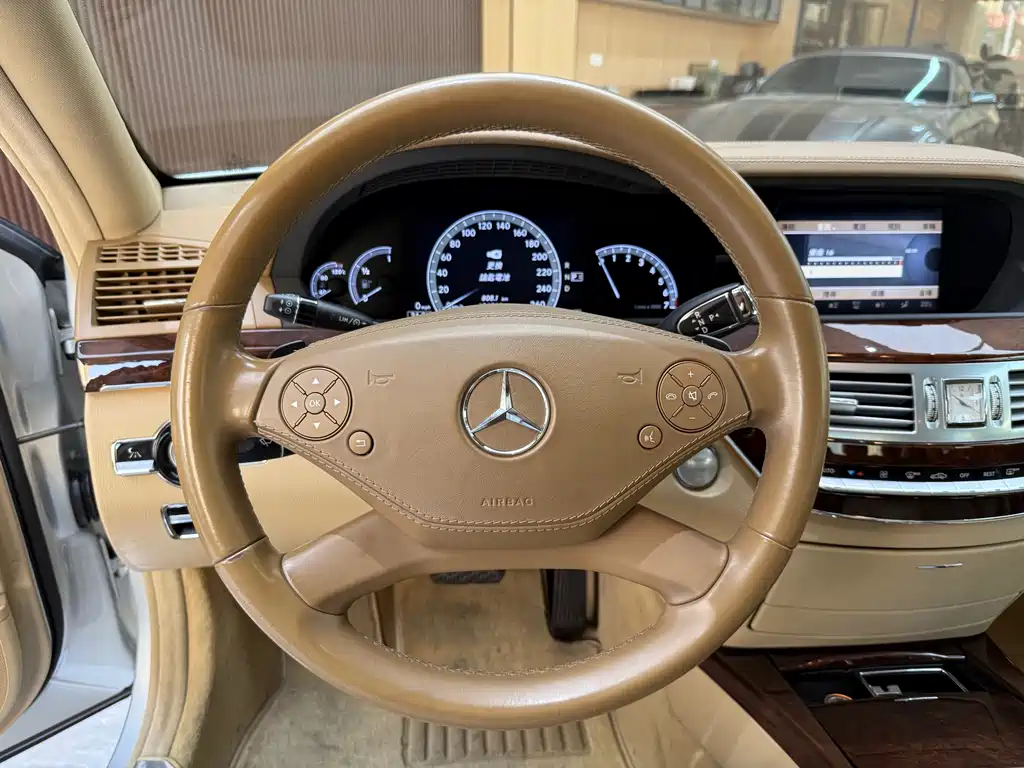 Mercedes-Benz S-Class 2010 — фото 9