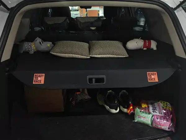 BYD Song 2021