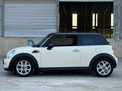 MINI MINI 2014