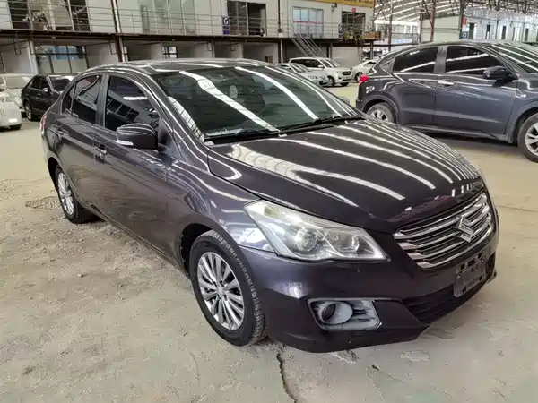 Suzuki Qiyue 2015