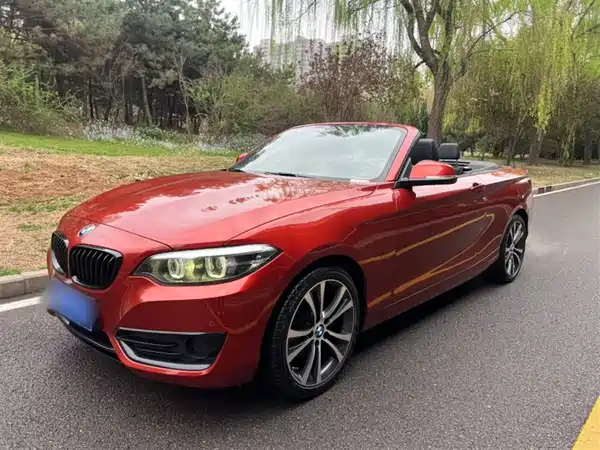 BMW 2 Series 2019