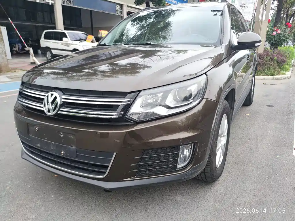 Volkswagen Tiguan 2015 — фото 1