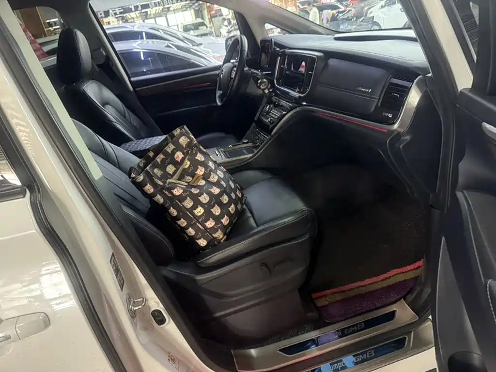 GAC Motor Trumpchi M8 2020 — фото 11