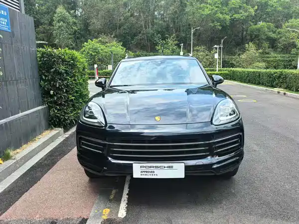 Porsche Cayenne New Energy 2019