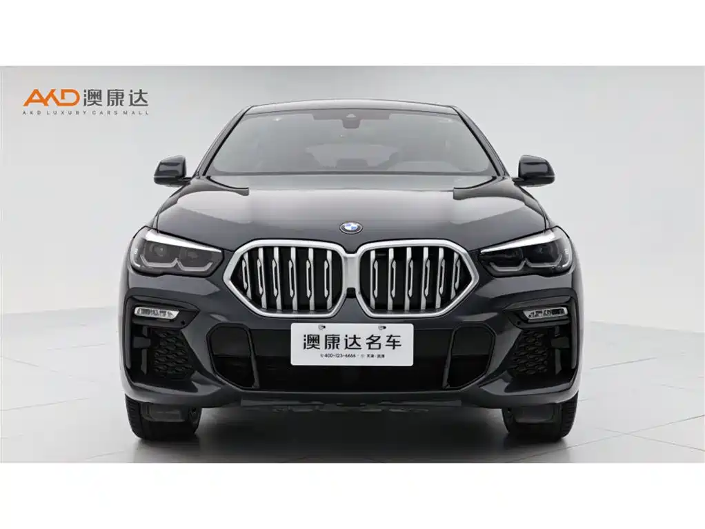 BMW X6 2021