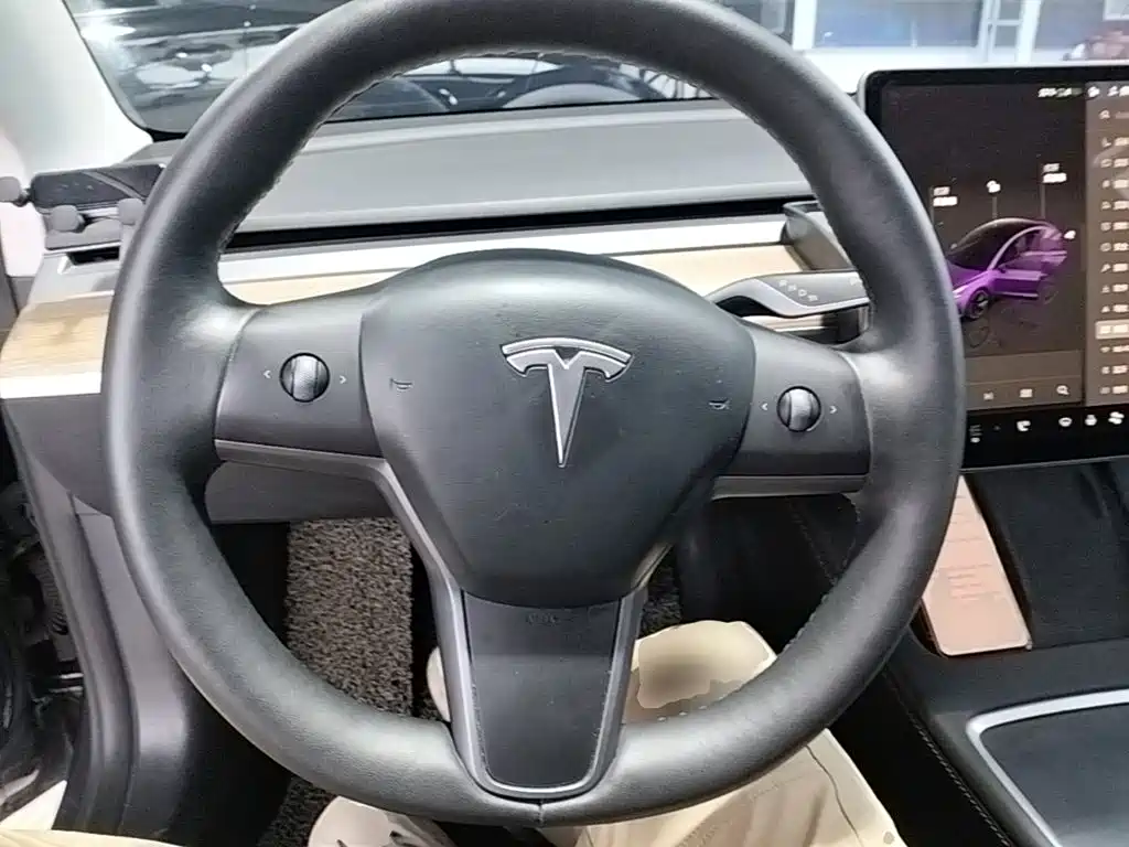 Tesla Model 3 2023 — фото 11
