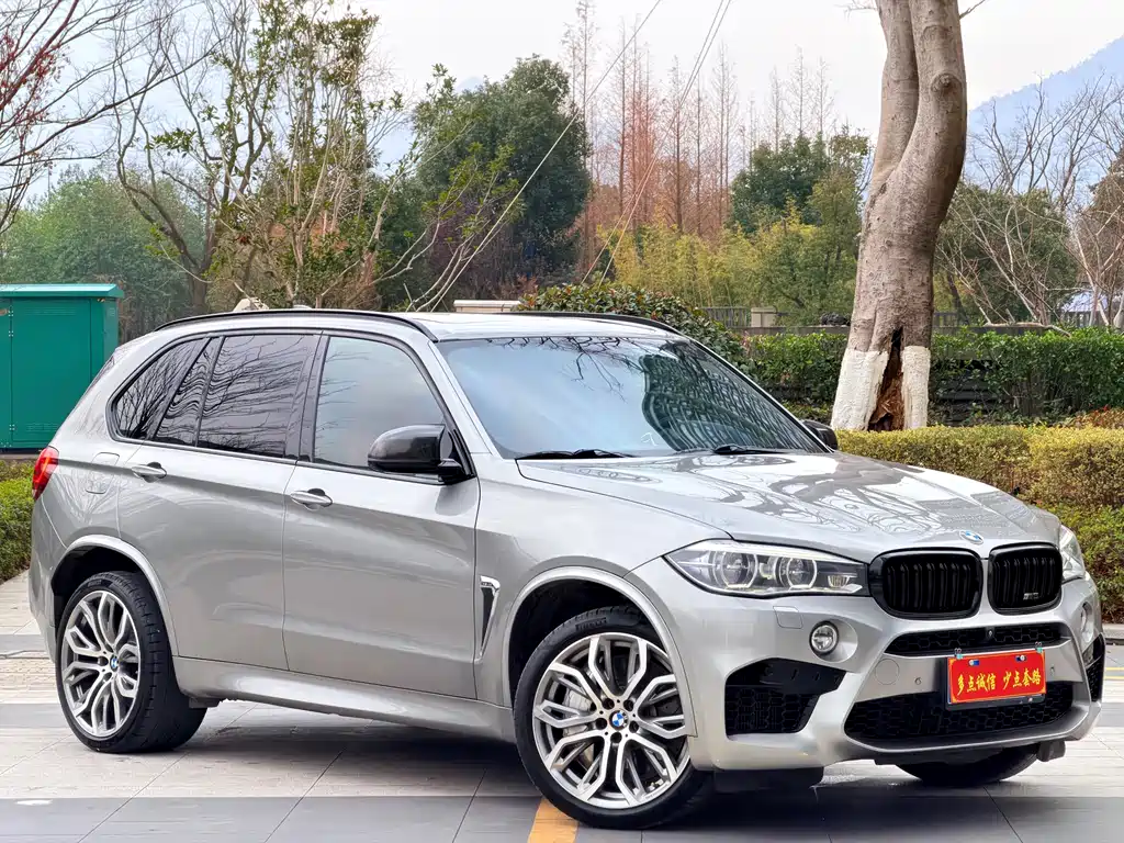 BMW X5 M 2015 — фото 3