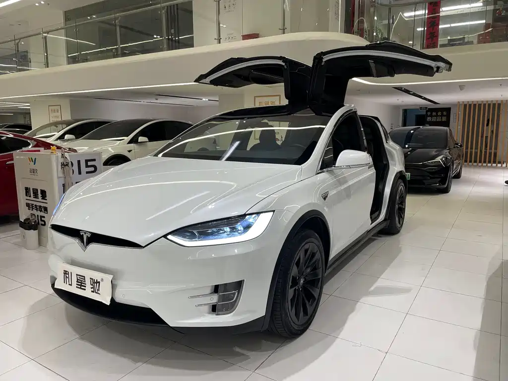 Tesla Model X 2017 — фото 1