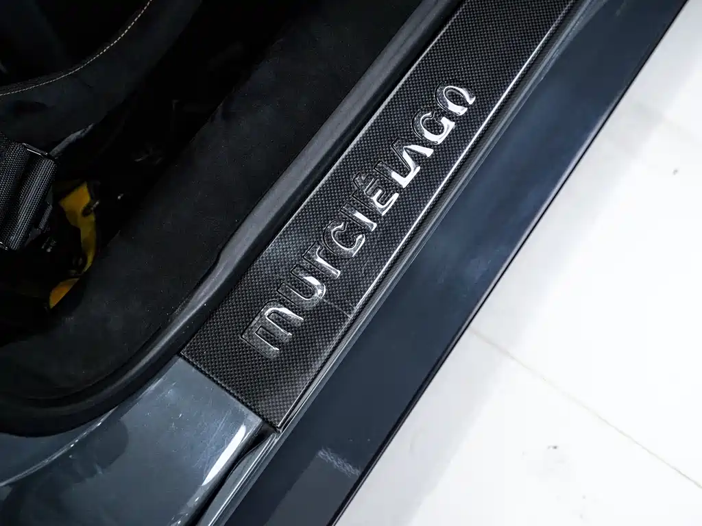 Lamborghini Murcielago 2010 — фото 19