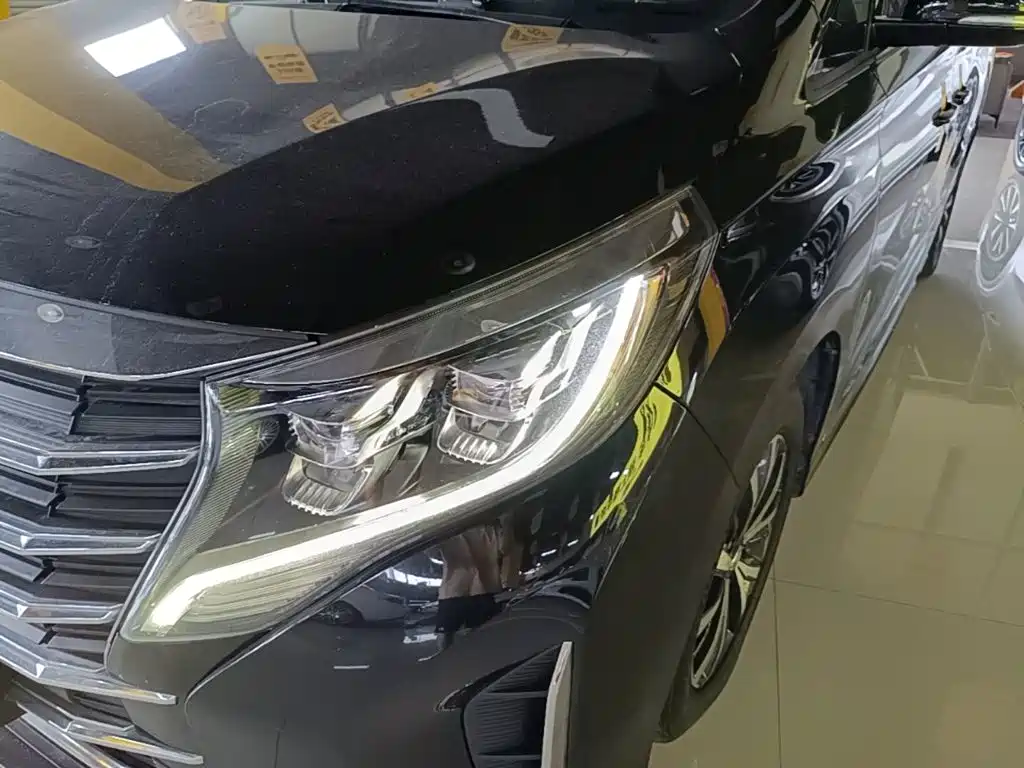 GAC Motor Trumpchi M8 2022 — фото 24
