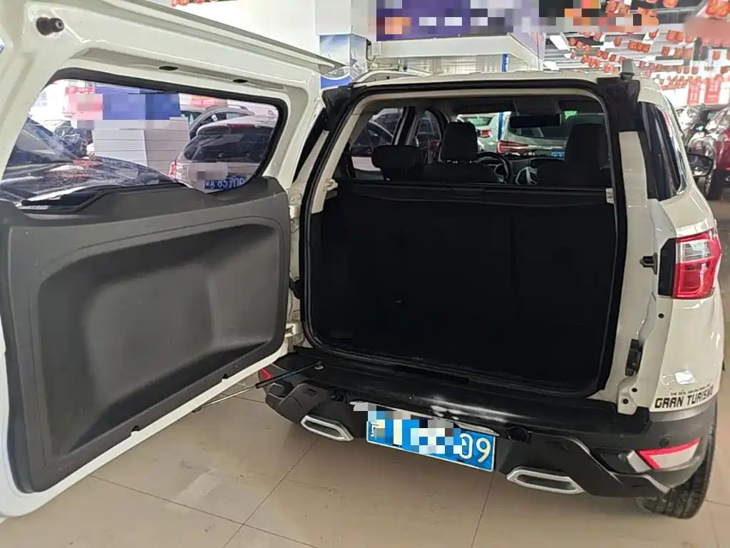 Ford EcoSport 2015 — фото 19