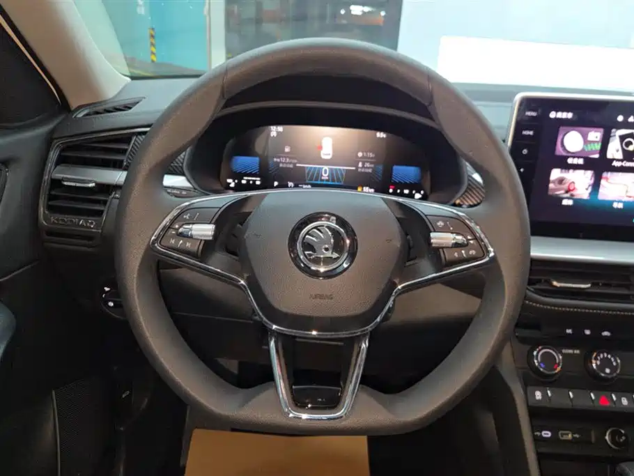 Skoda Kodiaq 2024 — фото 15