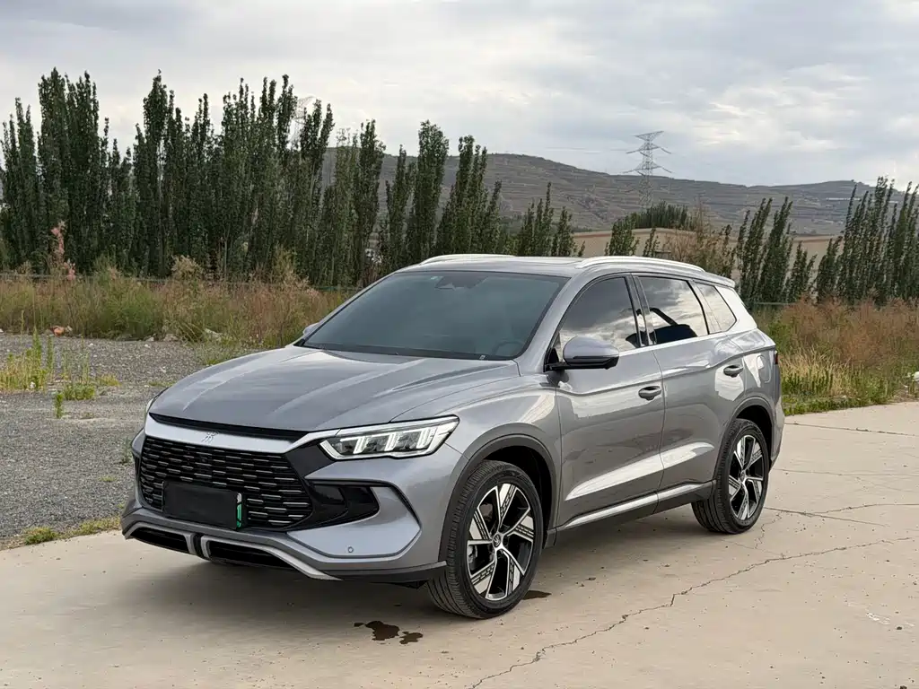 BYD Pro New Energy 2023 — фото 1