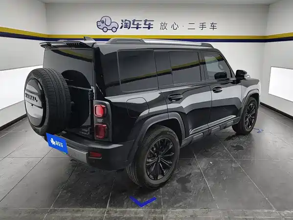 Haval Raptors New Energy 2024