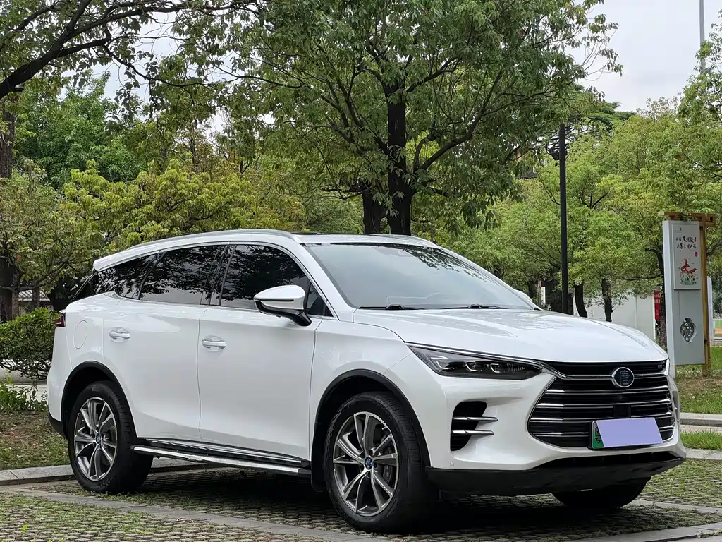 BYD Tang New Energy 2019 — фото 3