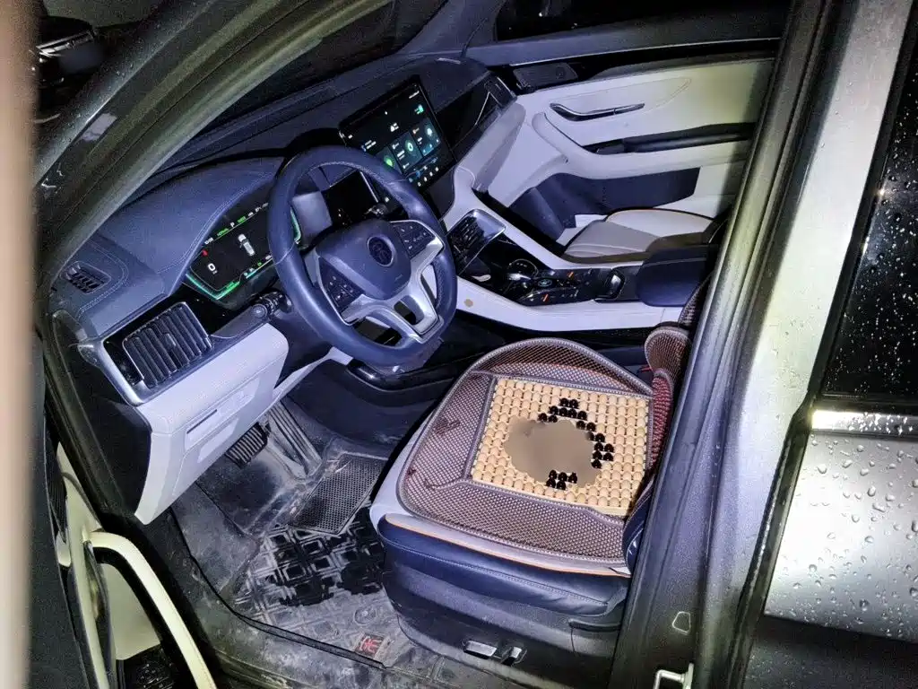 BYD Song PLUS New Energy 2021 — фото 12