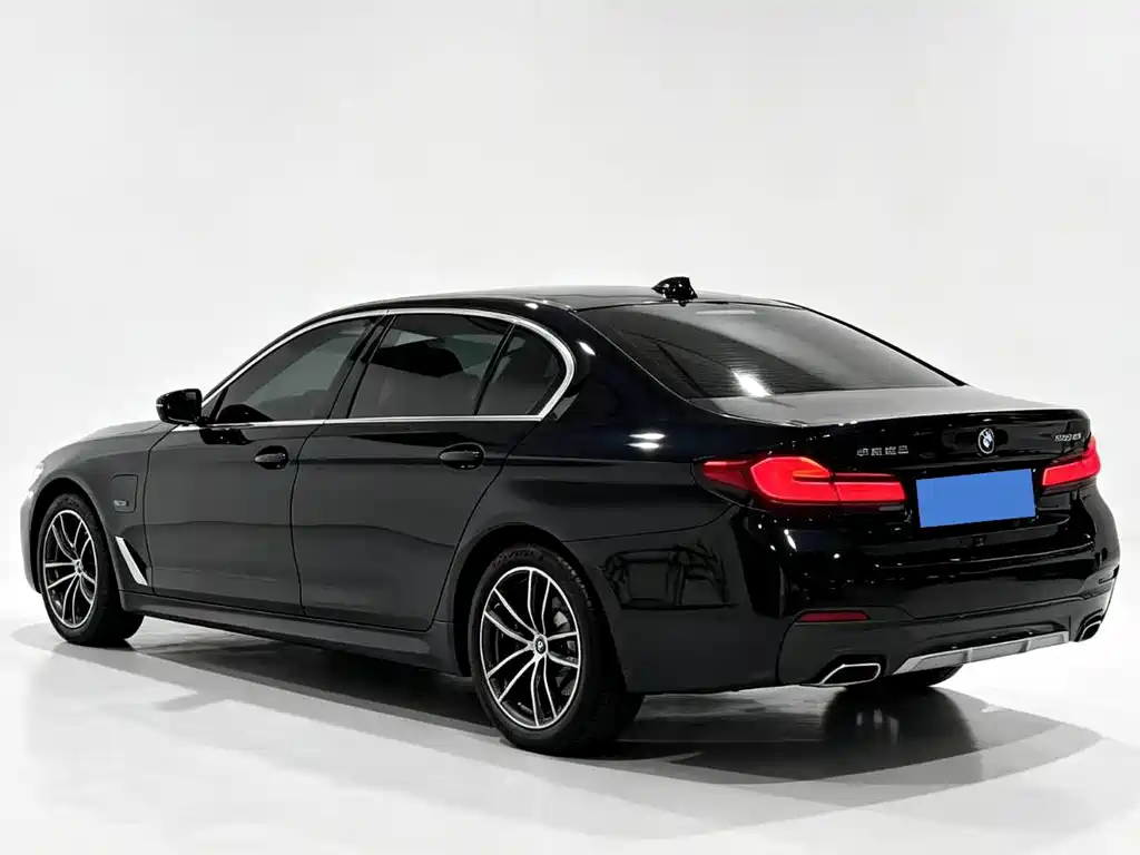BMW 5 Series New Energy 2021