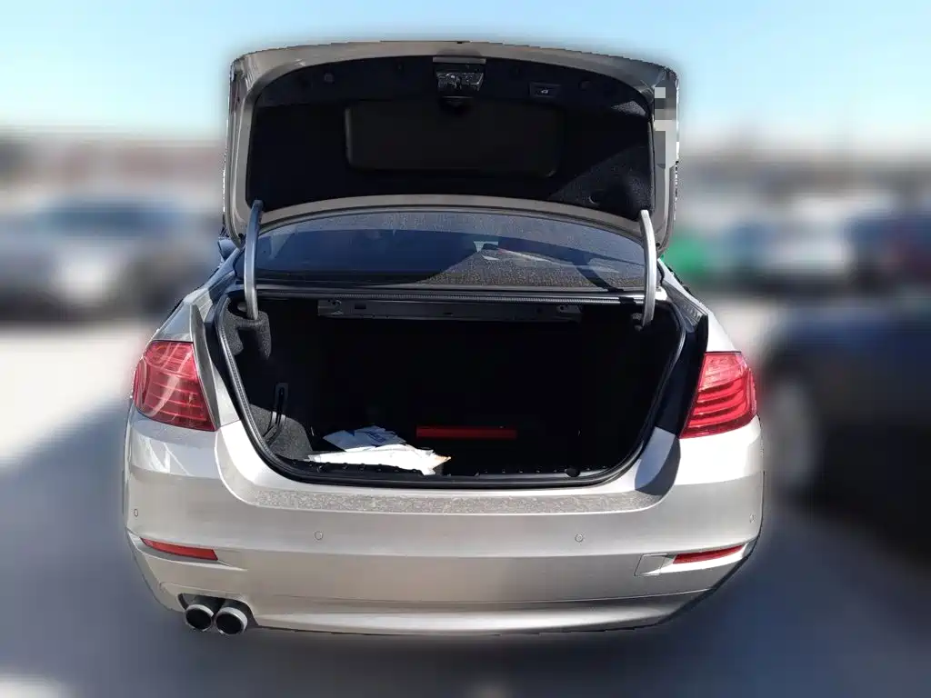 BMW 5 Series 2016 — фото 10