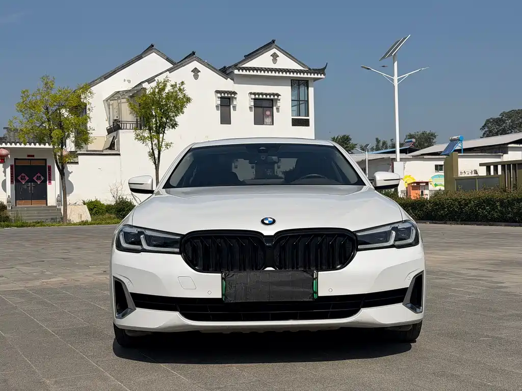 BMW 5 Series New Energy 2020
