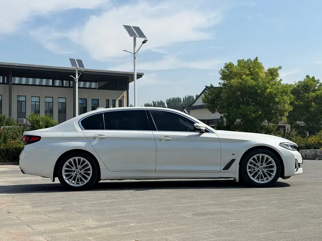 BMW 5 Series New Energy 2020