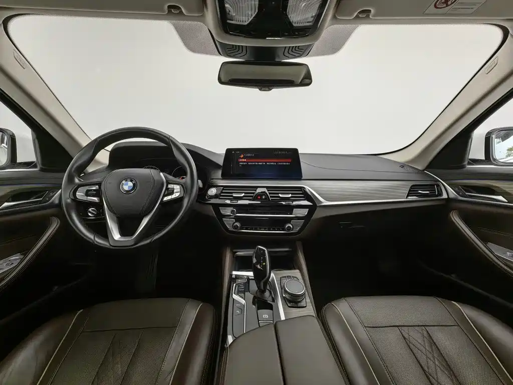 BMW 5 Series New Energy 2019