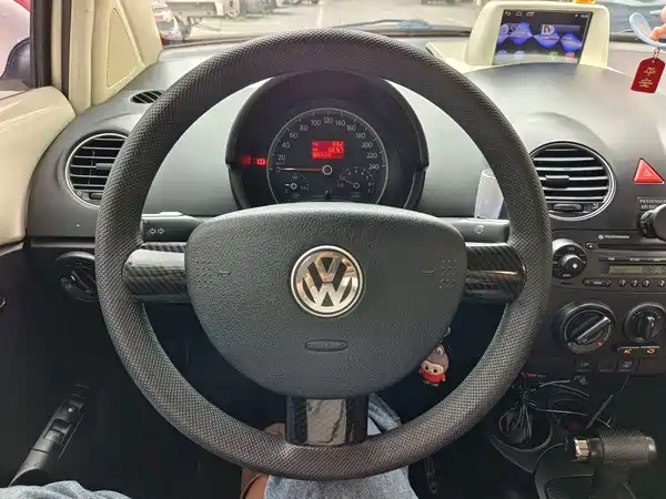 Volkswagen Beetle 2010