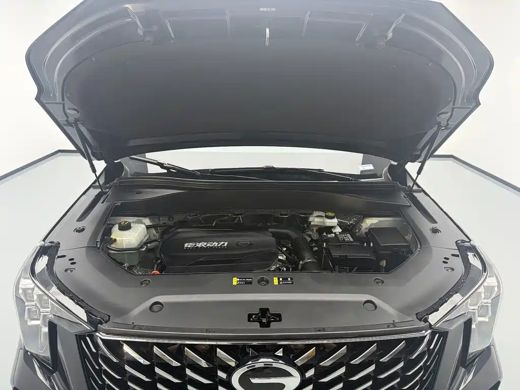 GAC Trumpchi GS8 2025 — фото 19