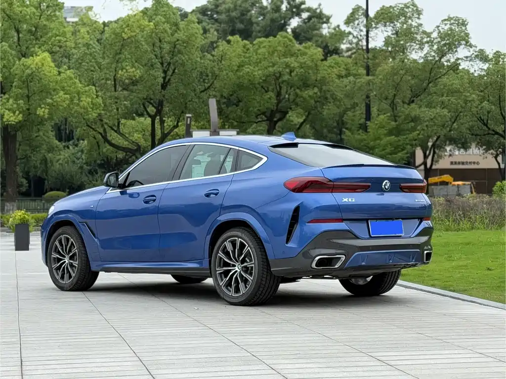 BMW X6 2021