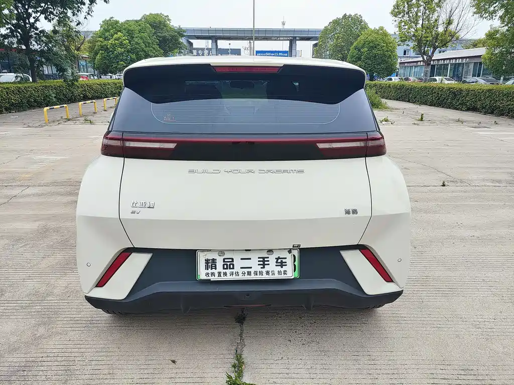 BYD Seagull 2024