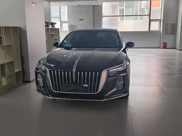 Hongqi H5 2023